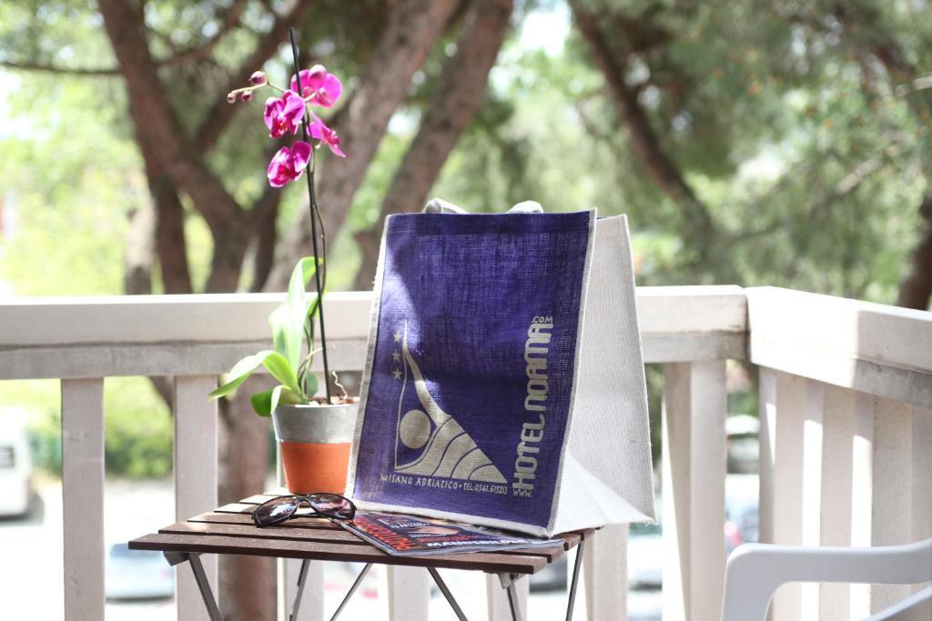 מיסאנו אדריאטיקו Hotel Norma מראה חיצוני תמונה